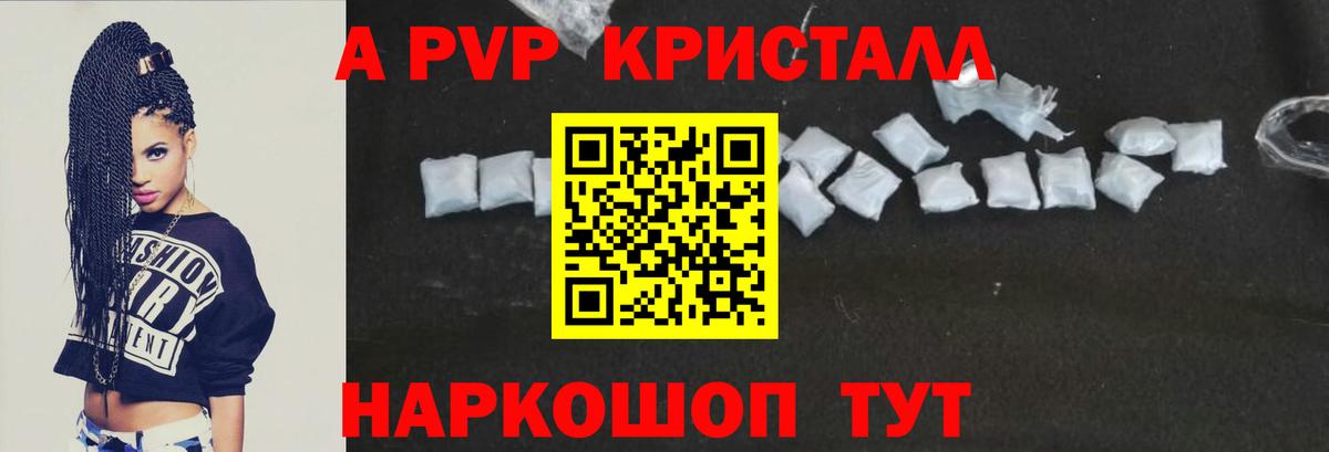 Альфа ПВП СК КРИС Геленджик